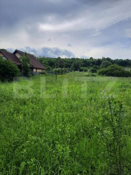 Teren Construcții intravilan de 1800 mp, în Ciurila