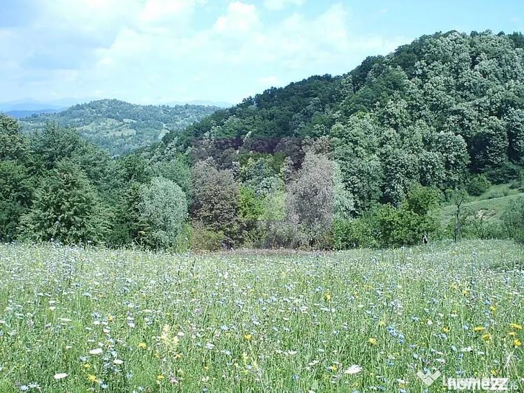 Teren de 3092 mp, în Telega
