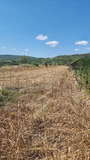 Teren Construcții intravilan de 5236 mp, în Mihăești