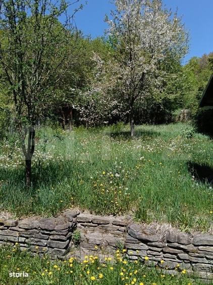 Cabana munte, 60 mp, zona iesire Praid - 8