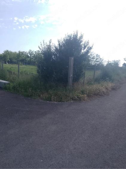 Teren de 1000 mp, în Măicănești