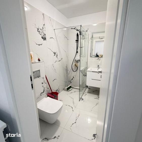 Inchiriere Apartament 2 camere Strada Crisul Repede 165 - 13