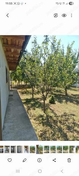 Vand Casa in Odaia Manolache Galati sau schimb cu apartament - 6