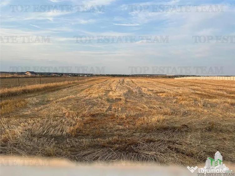 Teren de 2500 mp, în Bălăceanca