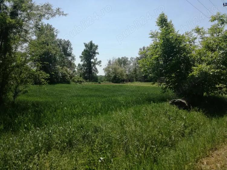 Teren de 5390 mp, în Vladimir