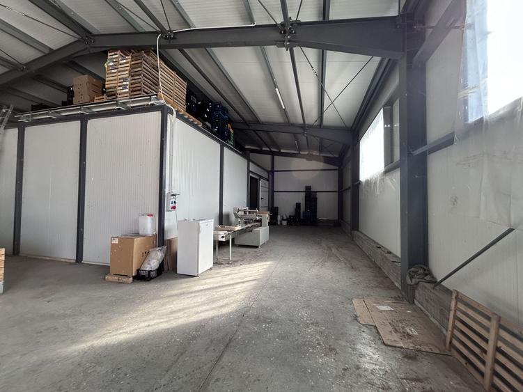 Spațiu industrial, de 7,000 mp, în Micălaca