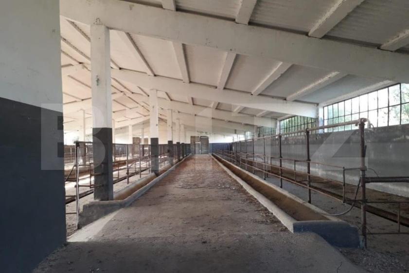 Teren Construcții intravilan de 950000 mp, în Exterior Nord