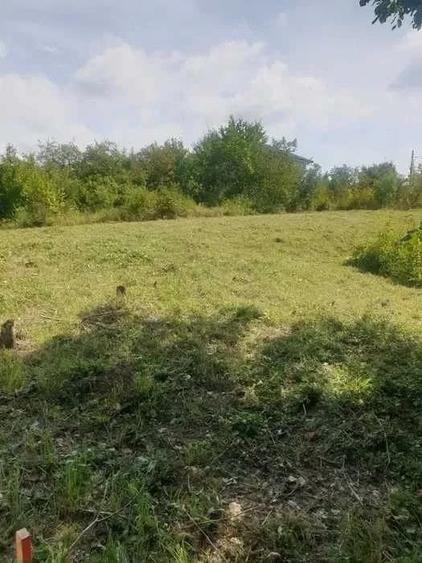 Teren de 2000 mp, în Ceptura