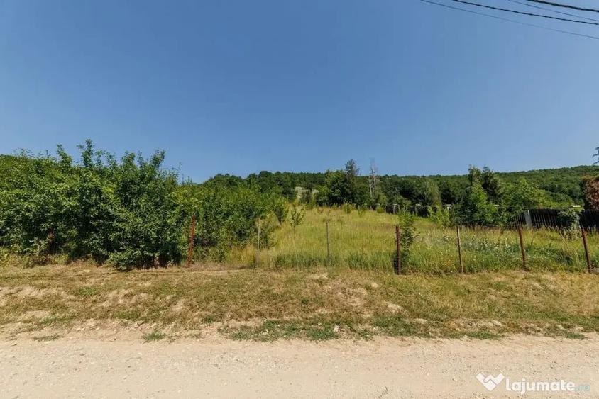 Teren intravilan ?tefane?ti Valea Mare Podgoria - 5