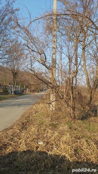 Teren de 7000 mp, în Gura Vitioarei