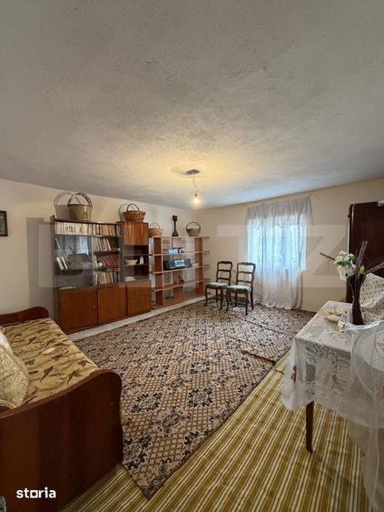 Casa pe parter, 115 mpc, 4505 mp teren, zona Bogea-Almaj - 9