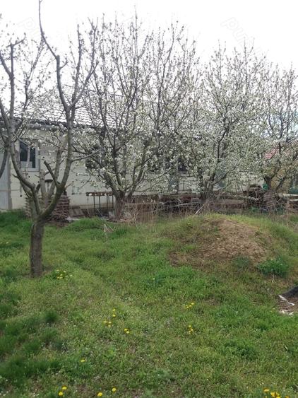 Casă în Chiscani