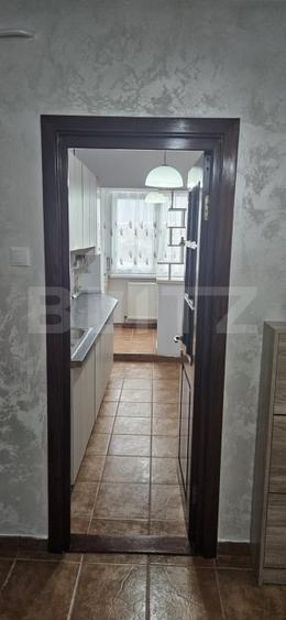 Apartament cu 3 camere decomandat, mobilat în Podu Roș