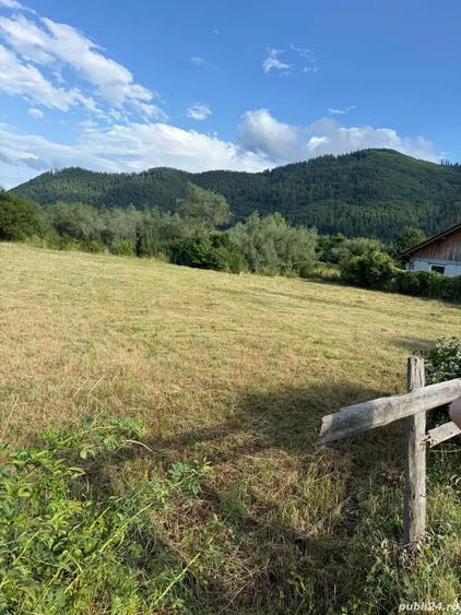 Teren în Stejaru (Farcașa)
