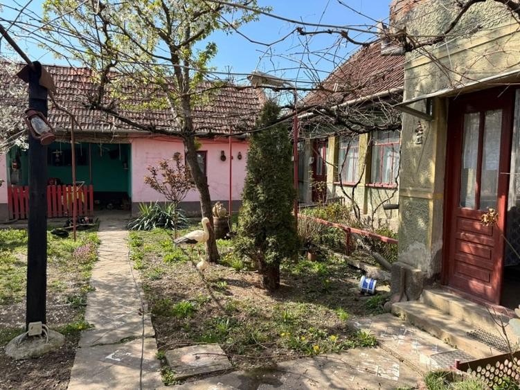 Casă individuală cu 3 camere cu Teren 5261 Mp în Ohaba-Forgaci