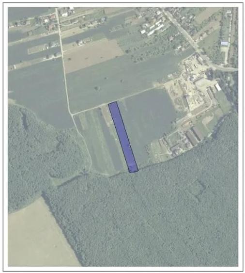 Teren la padurea Snagov - 1