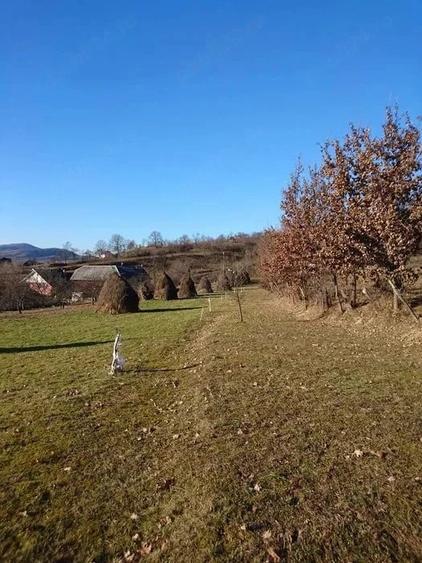 Teren de 3000 mp, în Central