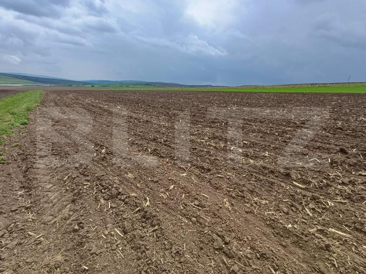 Teren agricol extravilan de 5000 mp, în Periferie