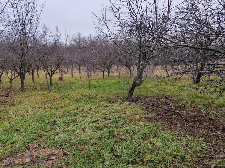 Casă cu 2 camere cu Teren 2600 Mp în Central