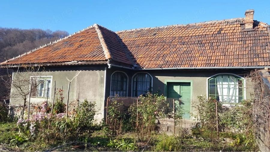 Casa si teren de vanzare - 5