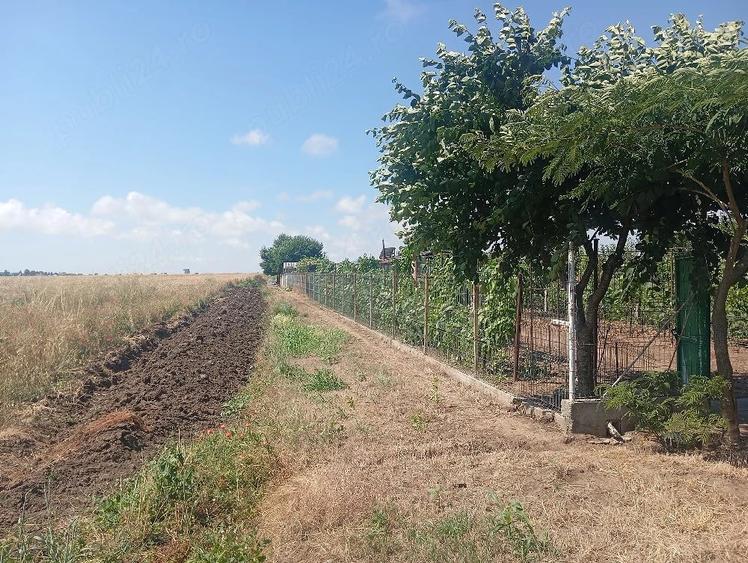 Se vinde proprietate de 5000m,costind dintr o ferma de crescut animale. - 1