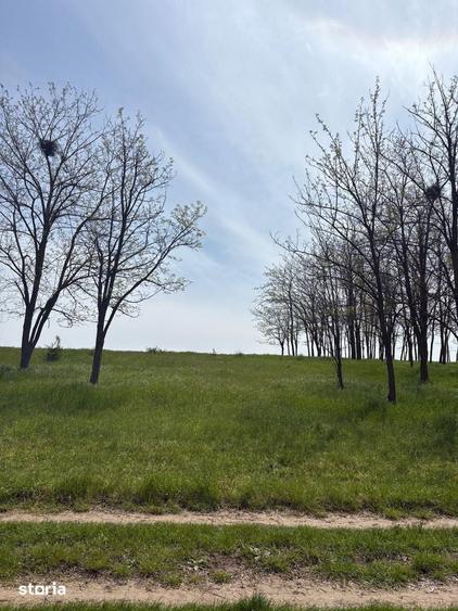 Oportunitate ideala pentru casa langa lac si padure de salcami - 1