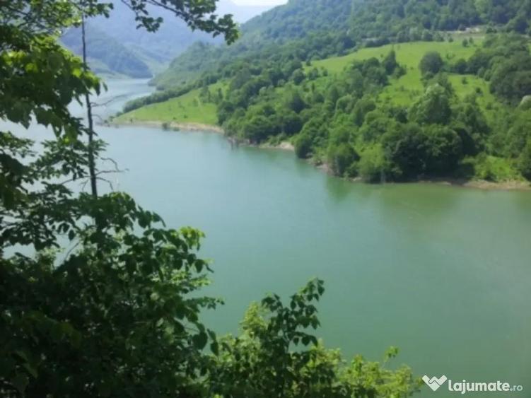 Teren de 73000 mp, în Siriu