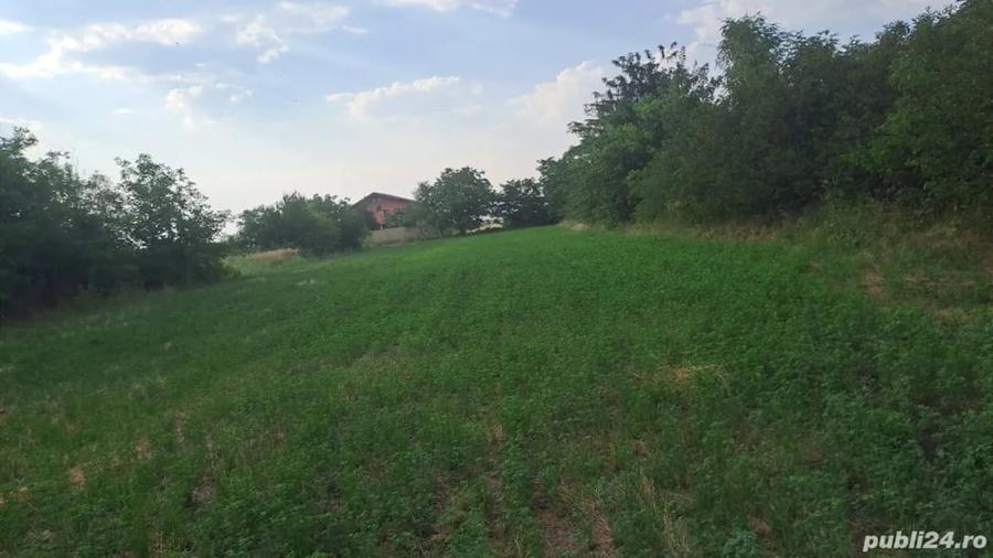 Teren de 3000 mp, în Lilieci