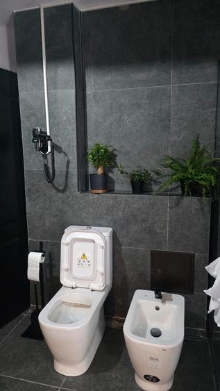 Apartament cu 2 camere în Ultracentral
