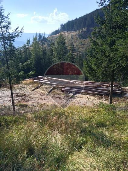 Teren agricol extravilan de 11161 mp, în Panaci
