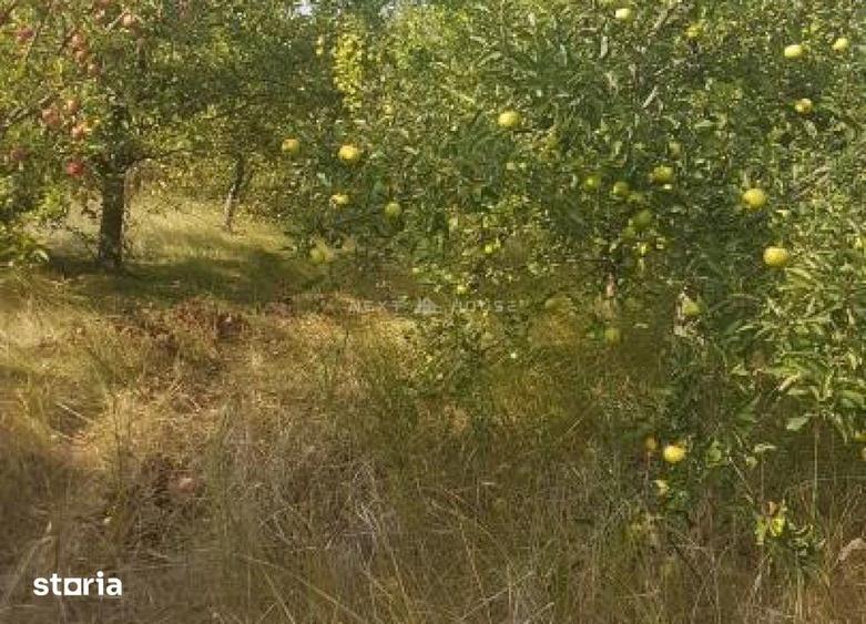 Teren de 2350 mp, în Ciolpani