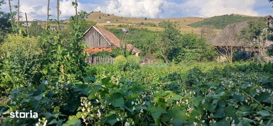 Casă cu 3 camere cu Teren 1443 Mp în Mihai Viteazu