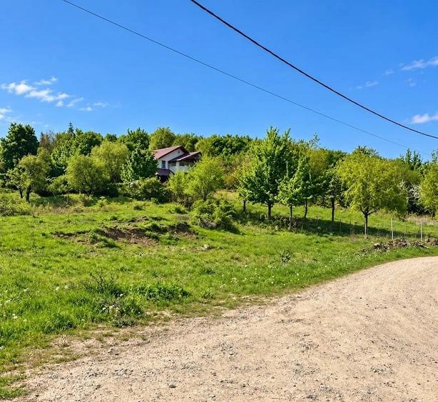 Teren Construcții intravilan de 692 mp, în Bucium