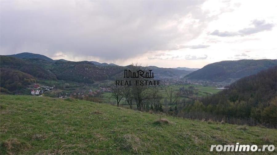Teren de 69237 mp, în Criș