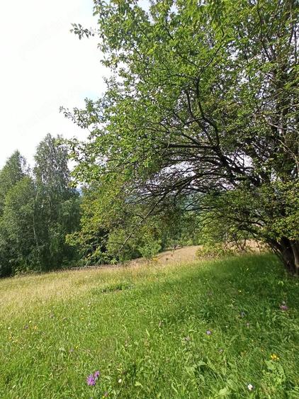 Teren de 500 mp, în Măgura