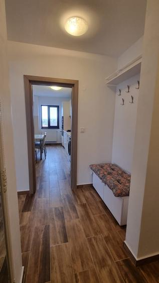 Apartament cu 2 camere decomandat în Bucium
