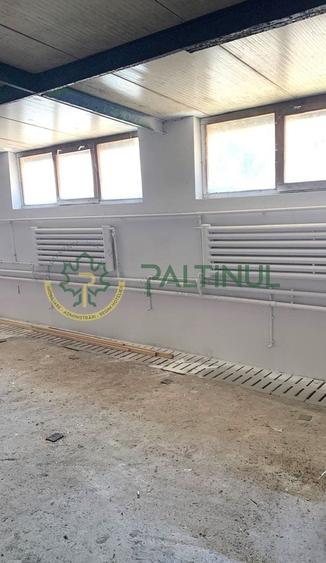 Spațiu industrial, de 700 mp, în Exterior Vest