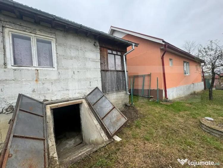 Doua case amplasate 3300 mp teren, Comuna Nimigea Tau - 10