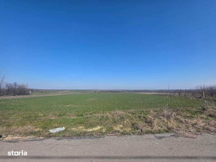 Spațiu comercial, în Gogoșești