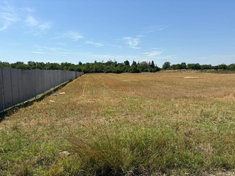 Teren Construcții intravilan de 5880 mp, în Brănești