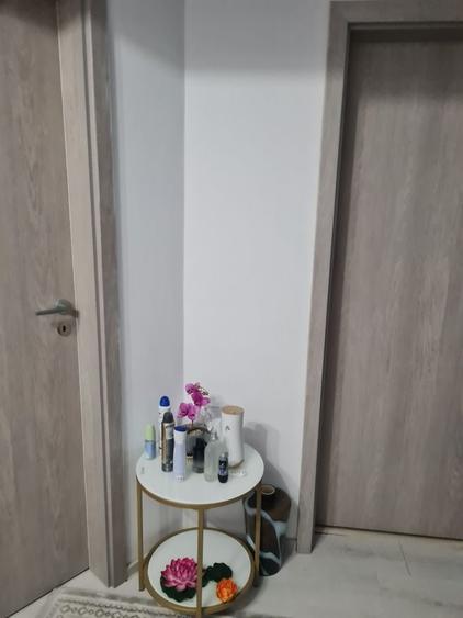 Apartament cu 2 camere semidecomandat în Balciu