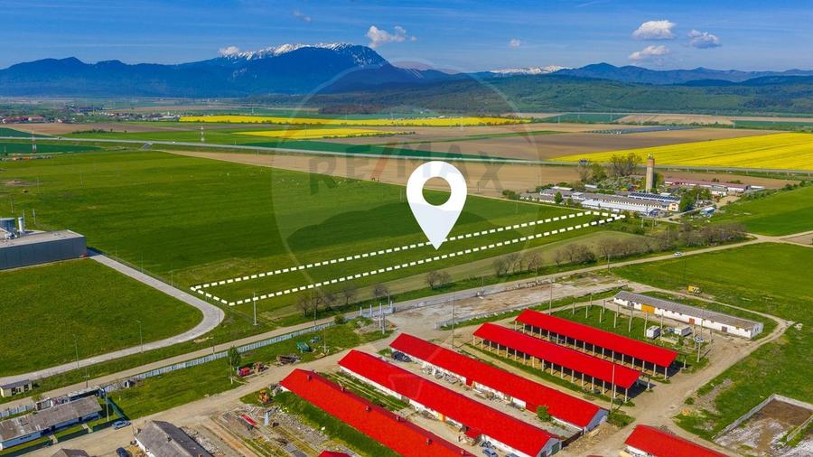 Teren agricol extravilan de 5009 mp, în ISR
