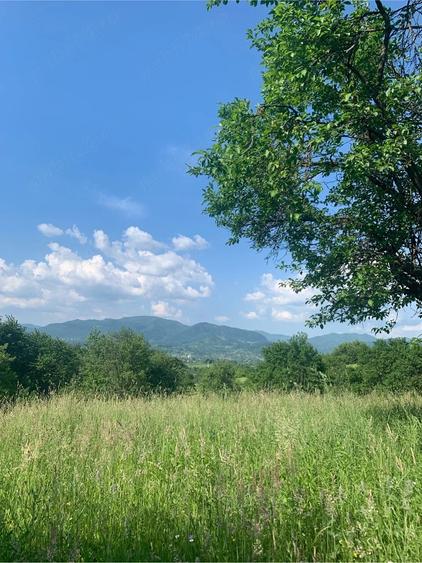 Teren de 6000 mp, în Cetățele