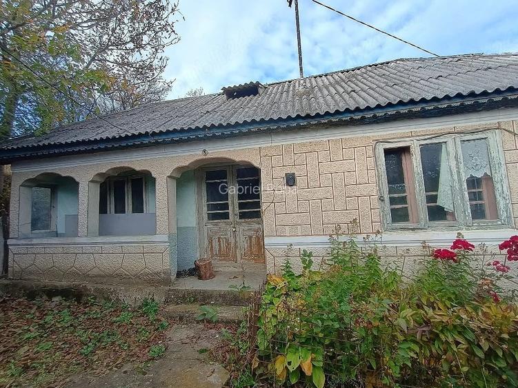 Casa gospodarie teren