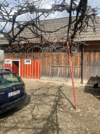 Casă cu Teren 5200 Mp în Pârteștii de Jos