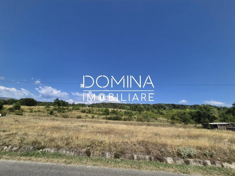 Teren Construcții intravilan de 13000 mp, în Runcu