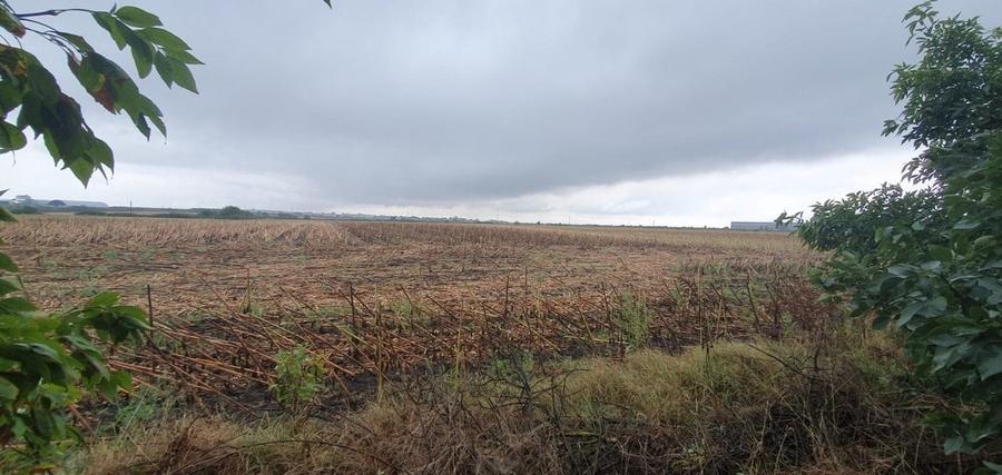 Teren agricol extravilan de 101790 mp, în Dudeștii Noi