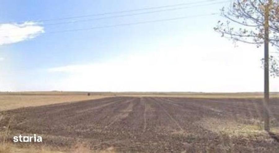 Teren de 16700 mp, în Amaru
