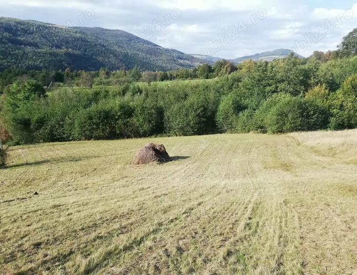 Teren de 7000 mp, în Negreni