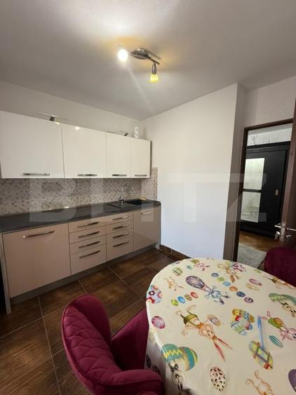 Apartament cu 2 camere, decomandat, Corneliu Coposu - 3